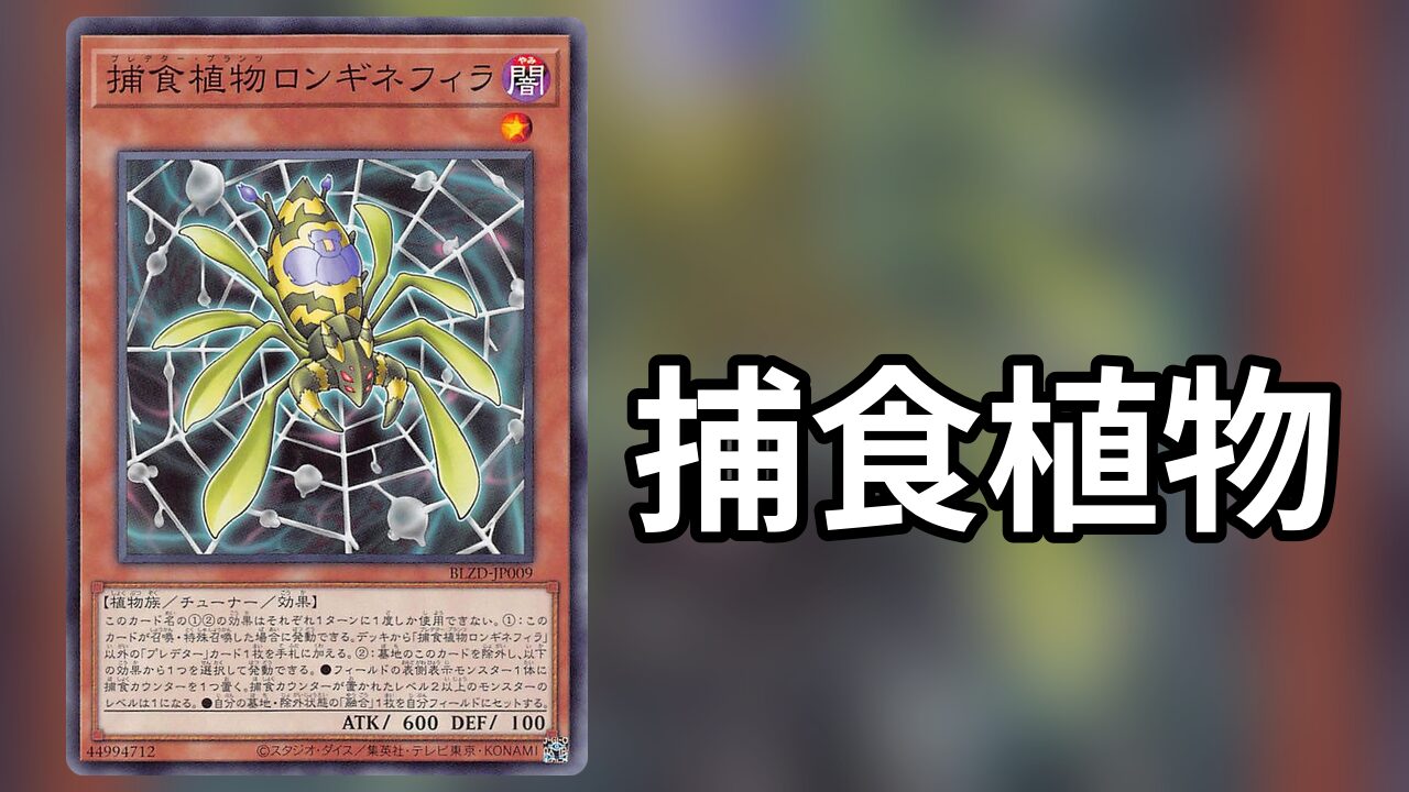 捕食植物 デッキレシピ 展開回し方解説 | 決闘者のTCGサイト